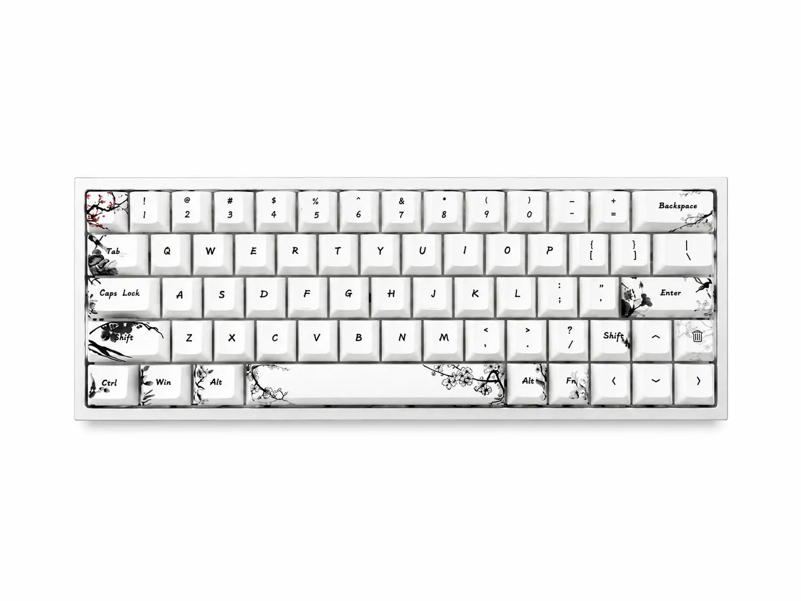 EVERGLIDE AE64 PRO