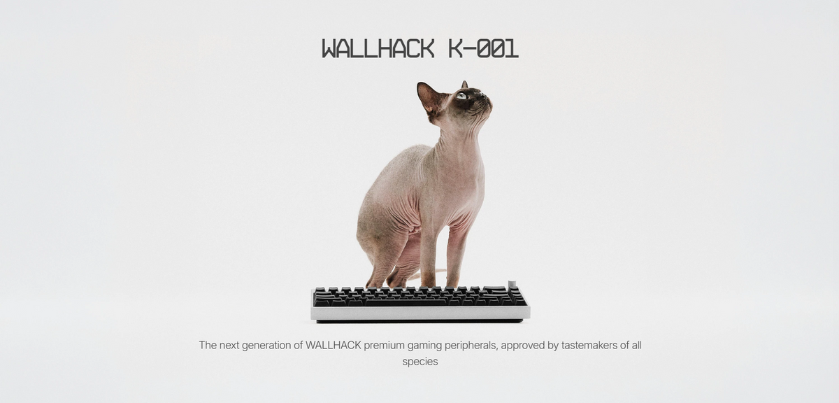 Wallhack K-001