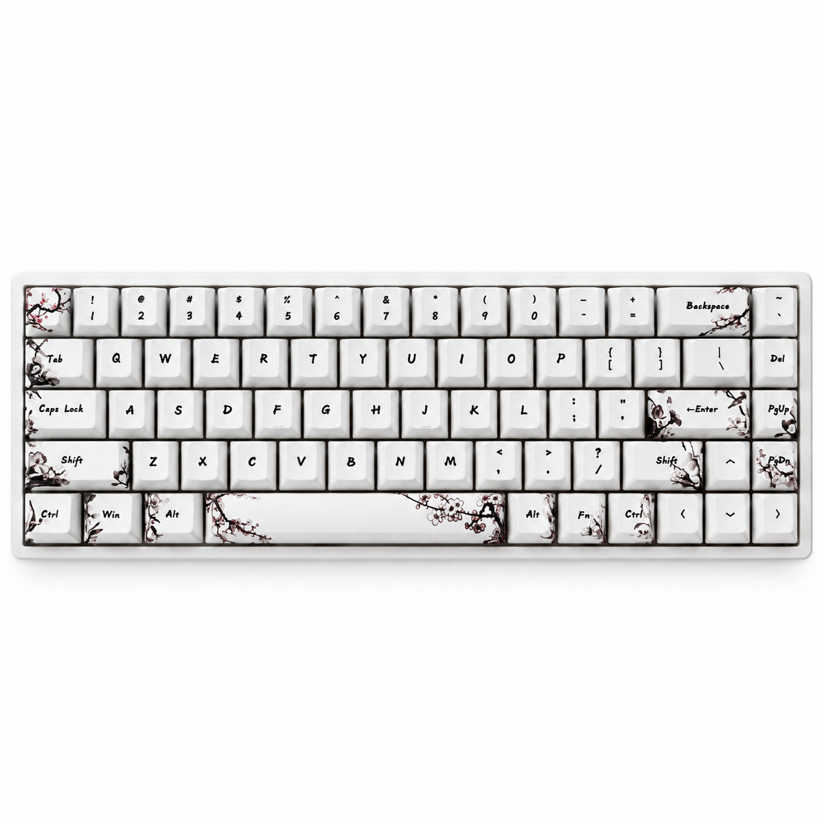 Everglide AE68 Max