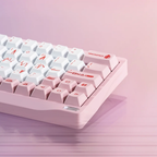 Chilkey SF60